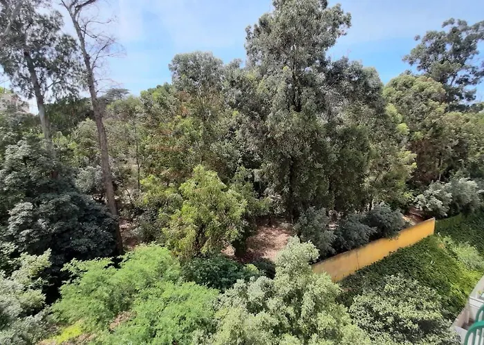 Forest View