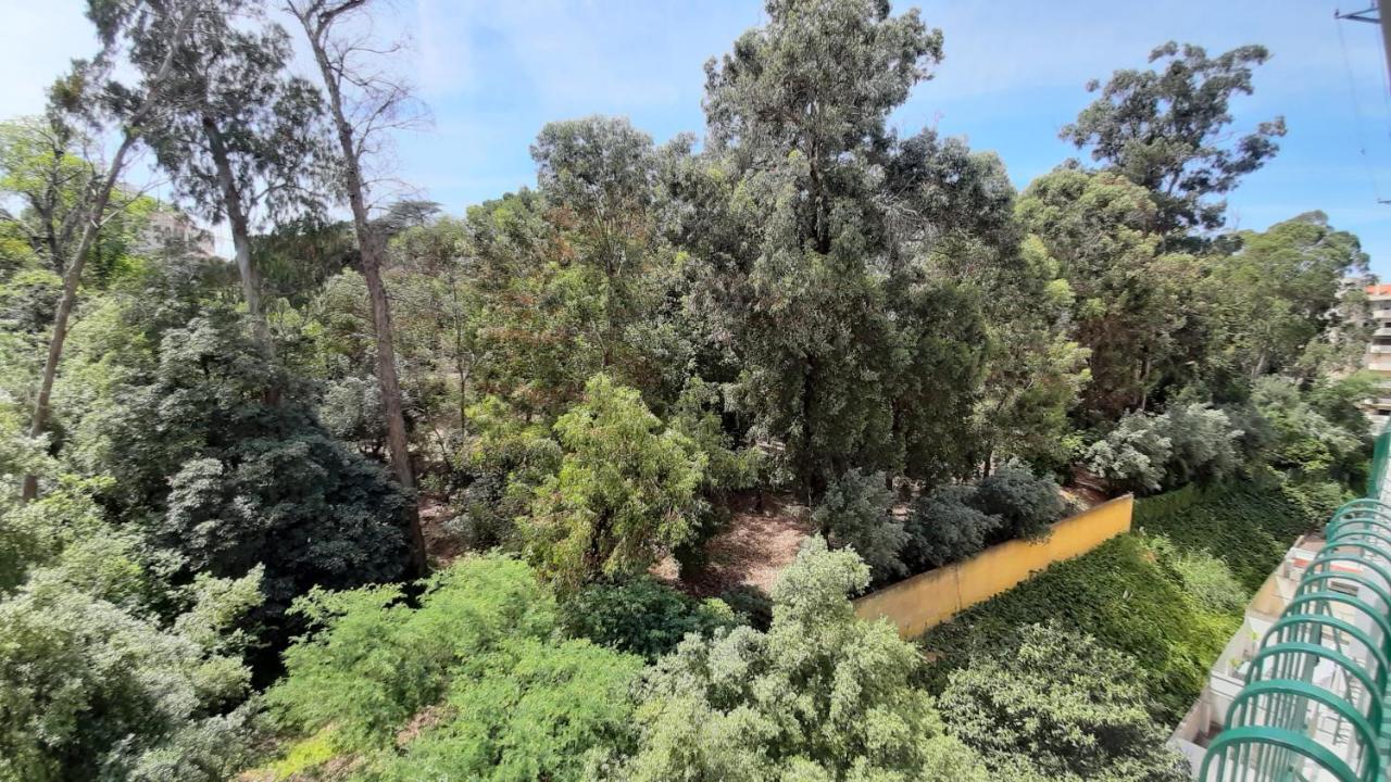Forest View Lissabon